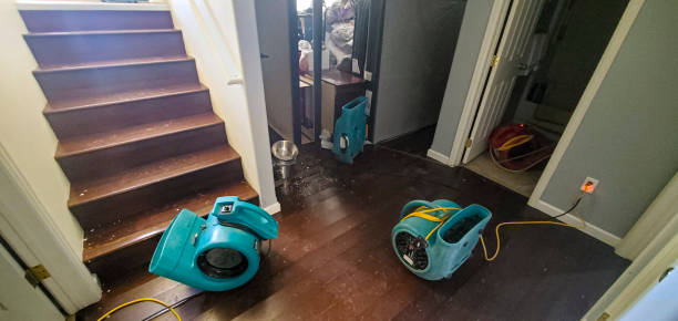 Best Commercial water damage restoration  in Pontoon Beach, IL