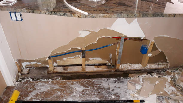 Best Water damage restoration near me  in Pontoon Beach, IL
