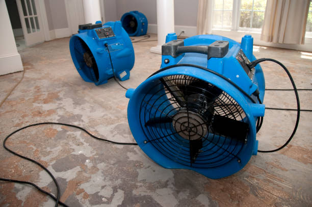 Professional Water damage restoration in Pontoon Beach, IL