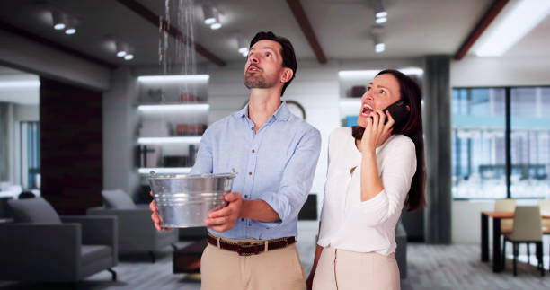 Best Flood damage cleanup  in Pontoon Beach, IL